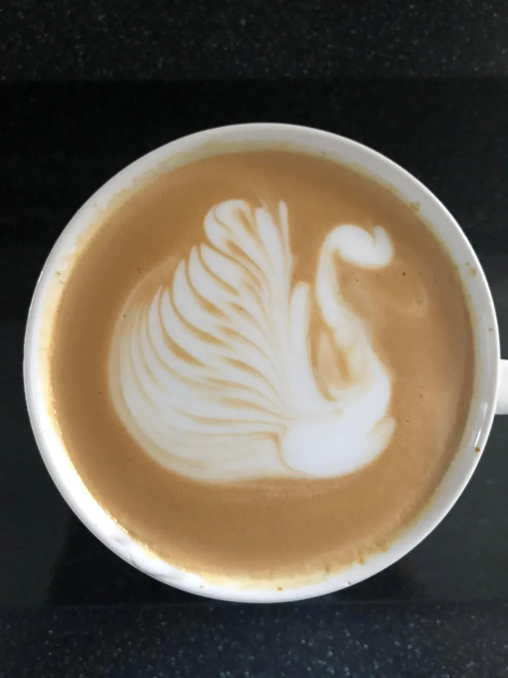 Swan latte art poured at Java Don's Coffee & Bistro in Afton, OK
